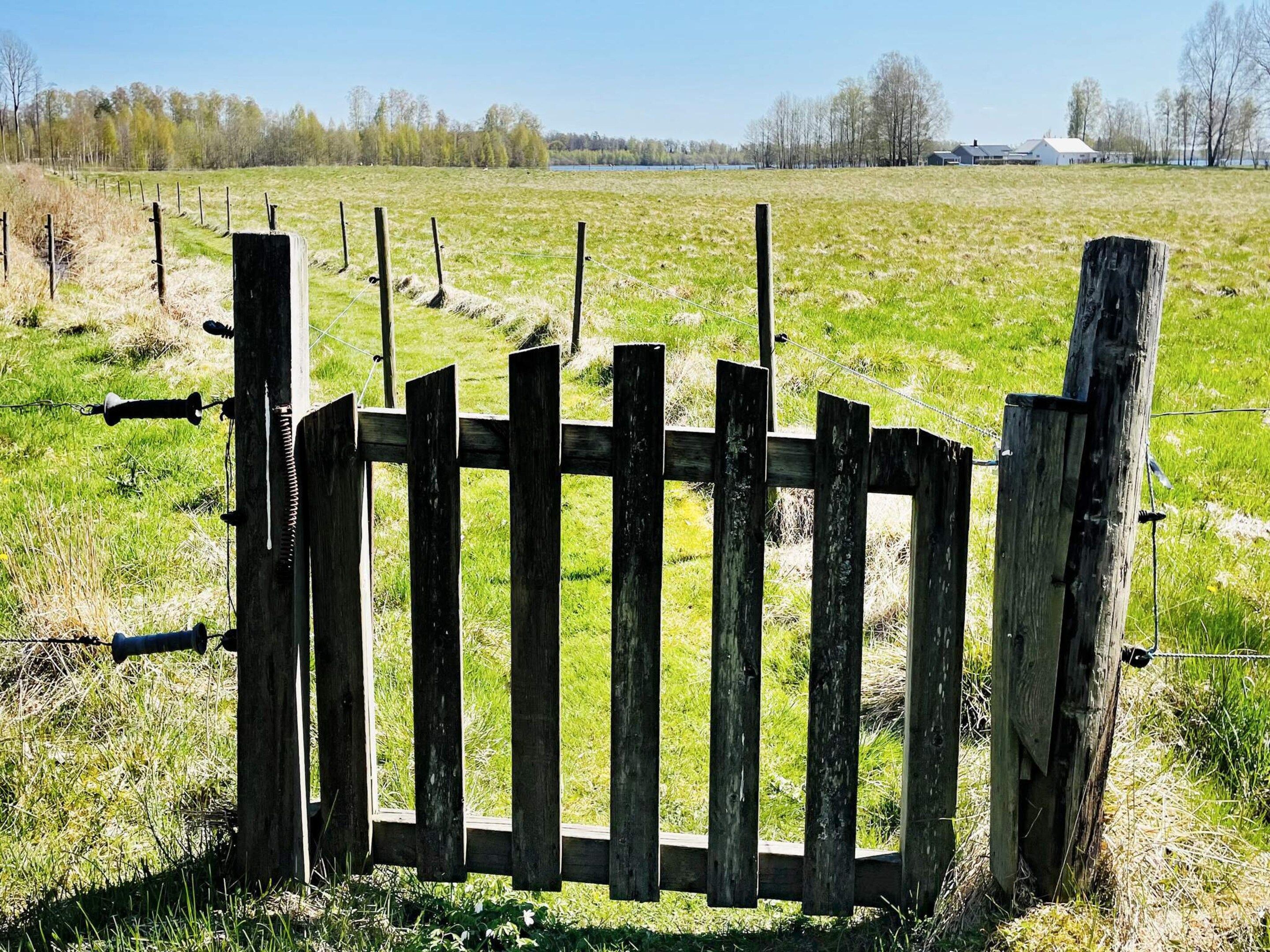 A wooden fence with a gate, surrounded by a grassy field and trees in the background.
