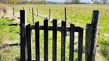 A wooden fence with a gate, surrounded by a grassy field and trees in the background.