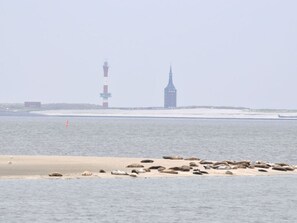 Beach nearby - Strandfleh Modern Retreat (Wangerooge)