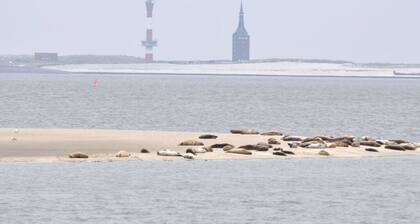 Strandfleh Modern Retreat