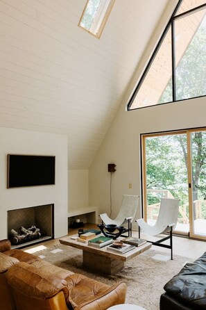 TV, caminetto, impianto stereo