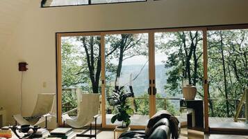 TV, fireplace, stereo