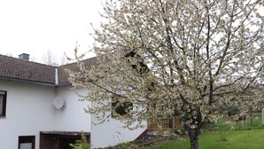 Uklassifisert bilde, 2 av 26, knapp