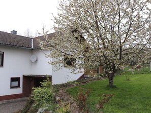 Exterior - Holiday Home Am Beulskopf (Heupelzen)