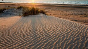 A beach with sand dunes and the ocean in the background. - Apartment in Nieuwpoort by the Beach (Nieuwpoort)