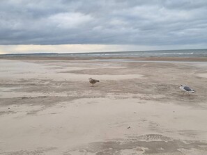 Hus | Strand