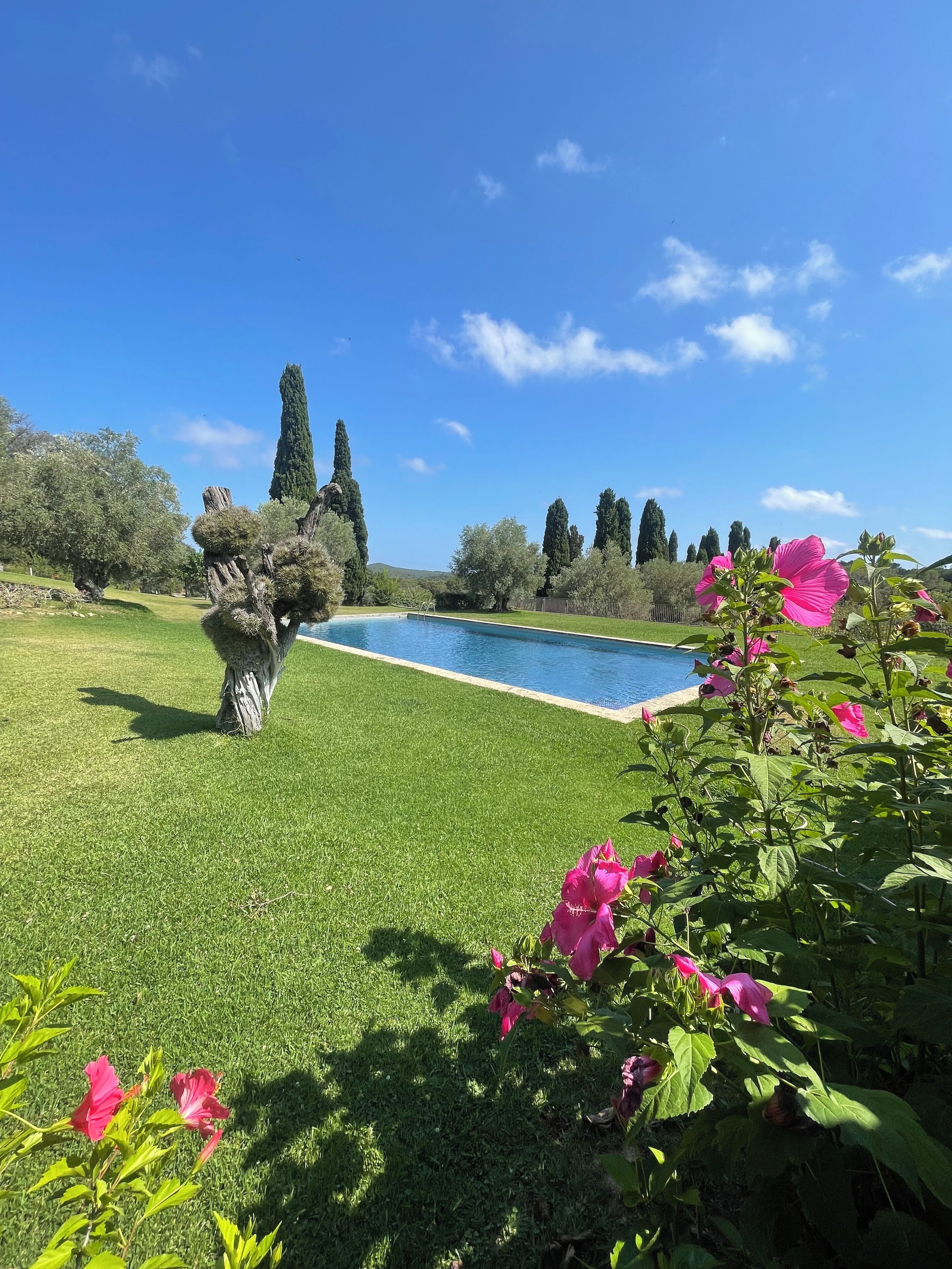 Áreas de la propiedad