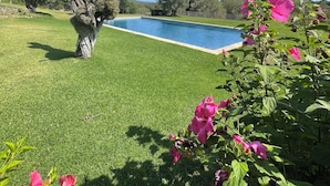 Un jardín bien cuidado con una piscina, rodeado de césped ordenado y varios árboles.