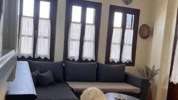 TV, fireplace, books