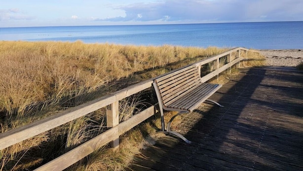 Une promenade en bois menant à une plage où se trouve un banc.