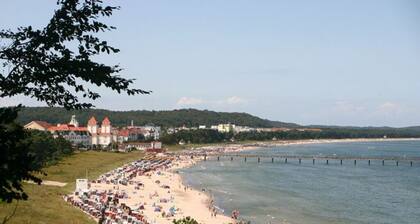 Sandpiper in Haus Strandburg Binz