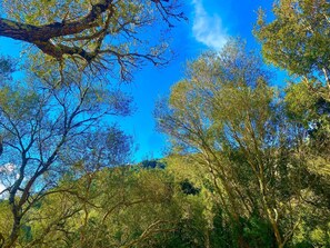 2 soverom, strykejern/-brett, wi-fi og sengetøy