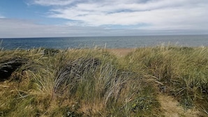 A coastal landscape with a sandy beach and grassy dunes leading to the sea.