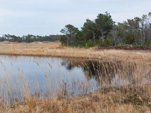 A natural landscape with a body of water, dry grass, and trees.