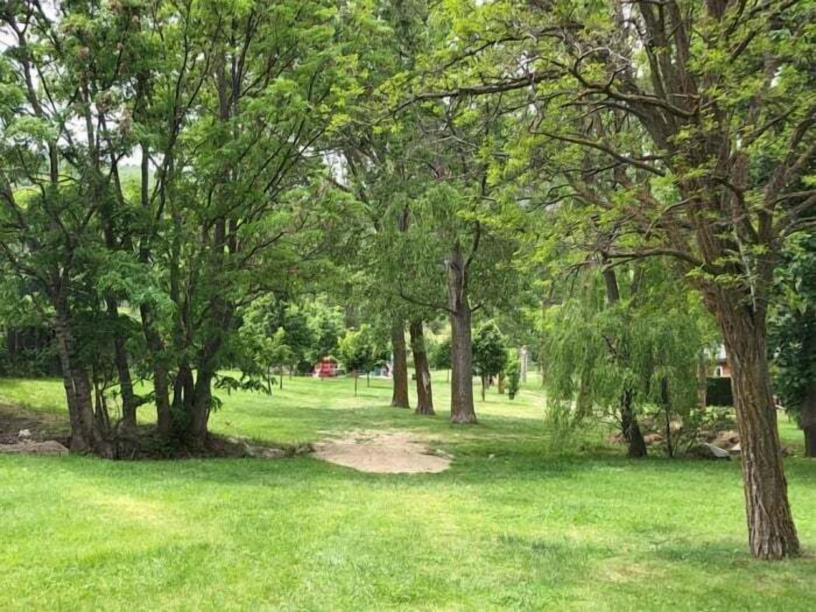 Un parc verdoyant et luxuriant, avec des arbres et un sentier bien tracé.