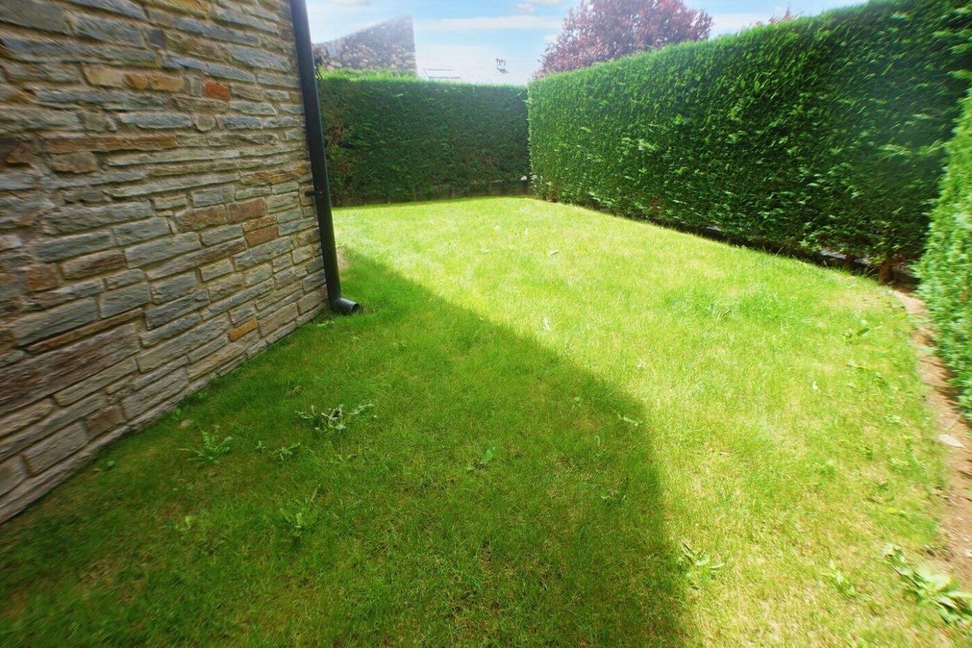 A well-maintained garden with a stone wall, neatly trimmed grass, and a hedge.