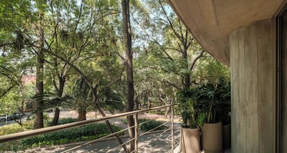 Nido Parque Mexico