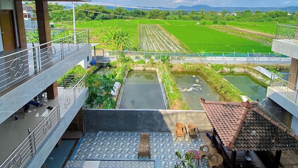 Une vue depuis un balcon donnant sur une piscine, un jardin et des champs agricoles.