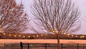 Ein Weg führt zu einem eingezäunten Bereich mit einem Baum und Lichterketten.