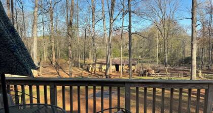 Lovers Lane FarmStay on a working family farm. Horses, cows, sheep, bees & more