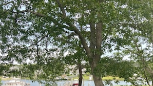 Un espace verdoyant avec un hamac, un foyer et une terrasse en bois donnant sur un lac où l’on peut faire du bateau.
