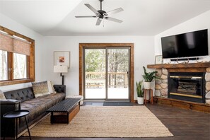 Smart TV, fireplace, books