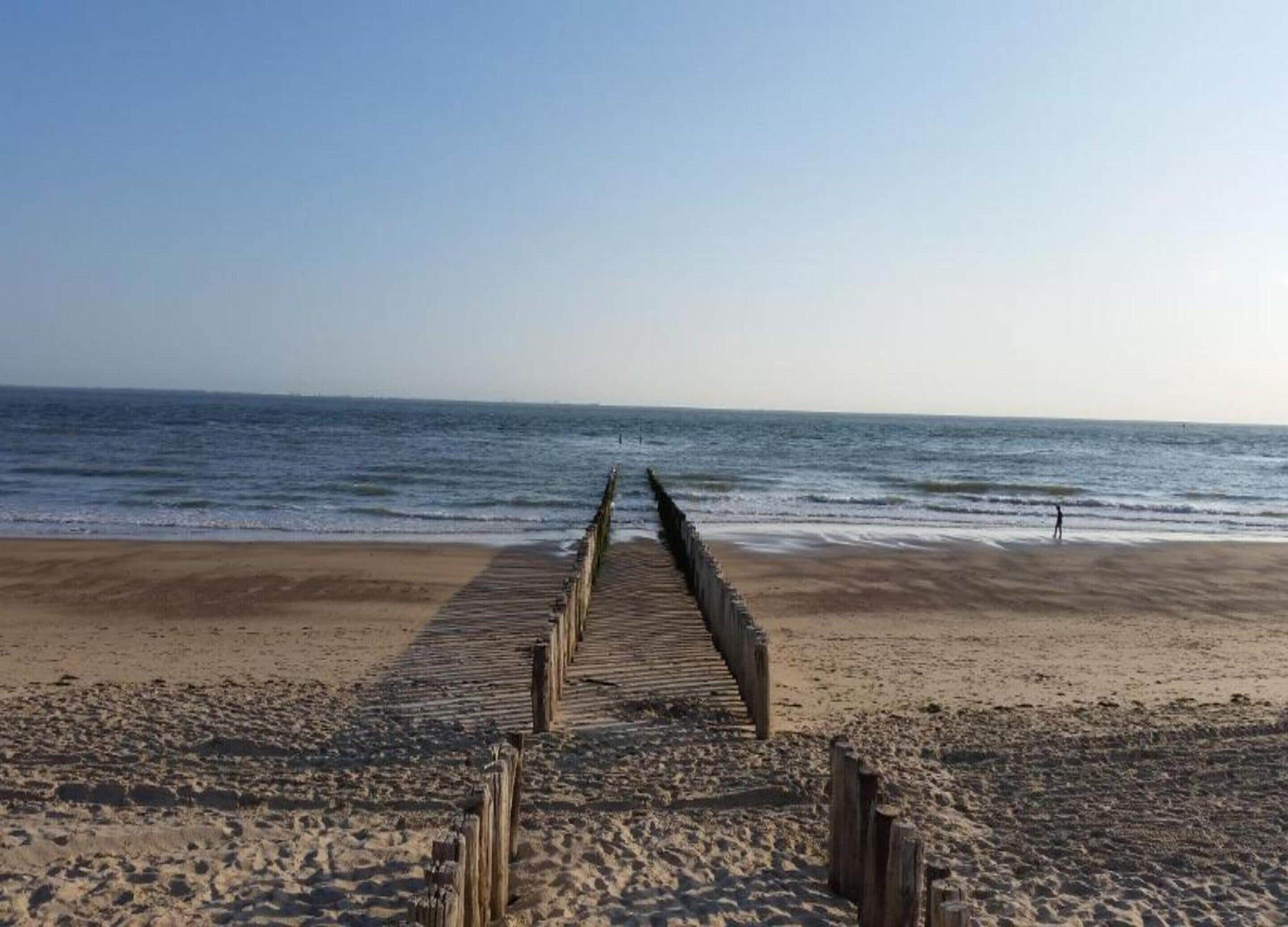 Vista desde la propiedad