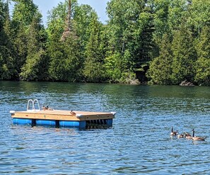 A wooden dock with a ladder and a blue floating platform in a lake surrounded by dense green trees. - BIG Comfy Lakefront cottage, Clear Lake by Huntsville, north Muskoka! (Emsdale)
