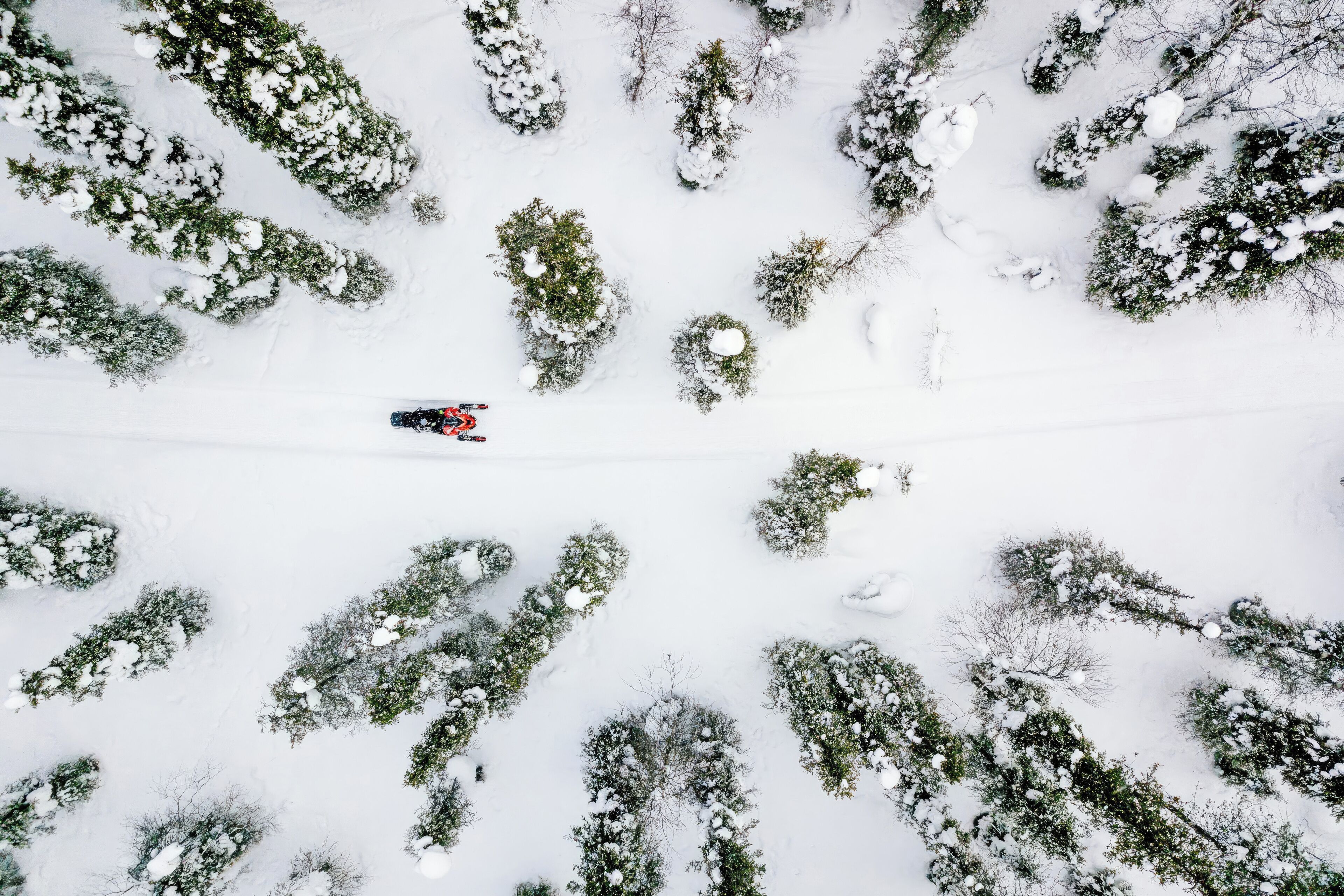 Photo - Inn at South Lake Tahoe