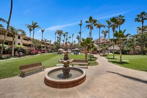 Property grounds - 2 minute walk to Medano Beach, Huge Pool (Cabo San Lucas)