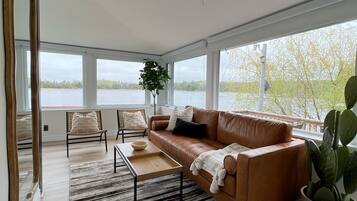 Smart TV, chimenea, libros