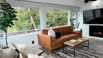 Smart TV, lareira, livros