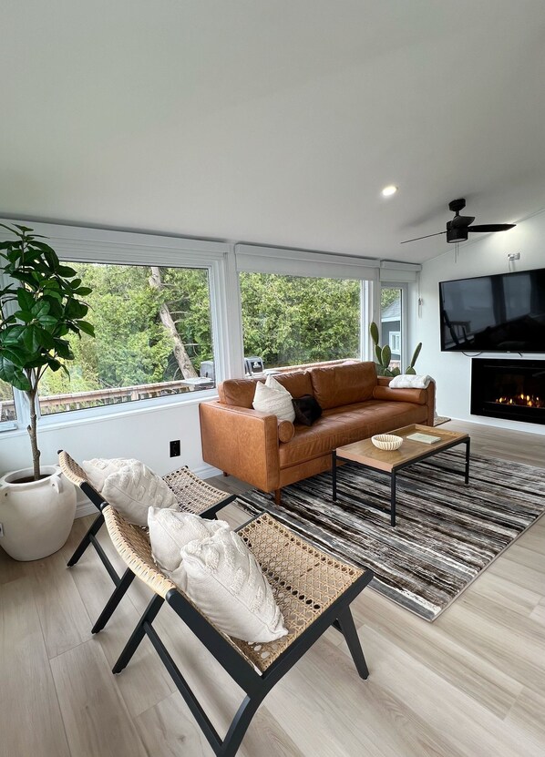 Smart TV, fireplace, books