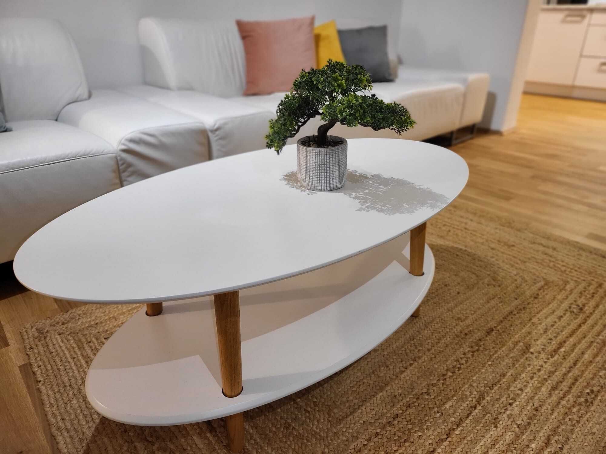 A white coffee table with a bonsai tree in a textured pot, placed on a woven rug.
