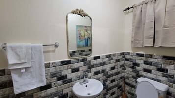 Ducha, secador de pelo, toallas, jabón