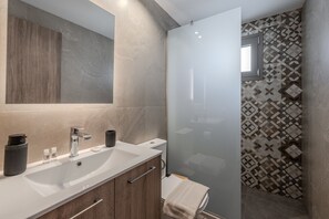 Chuveiro, secador de cabelo, toalhas de banho, papel higiênico