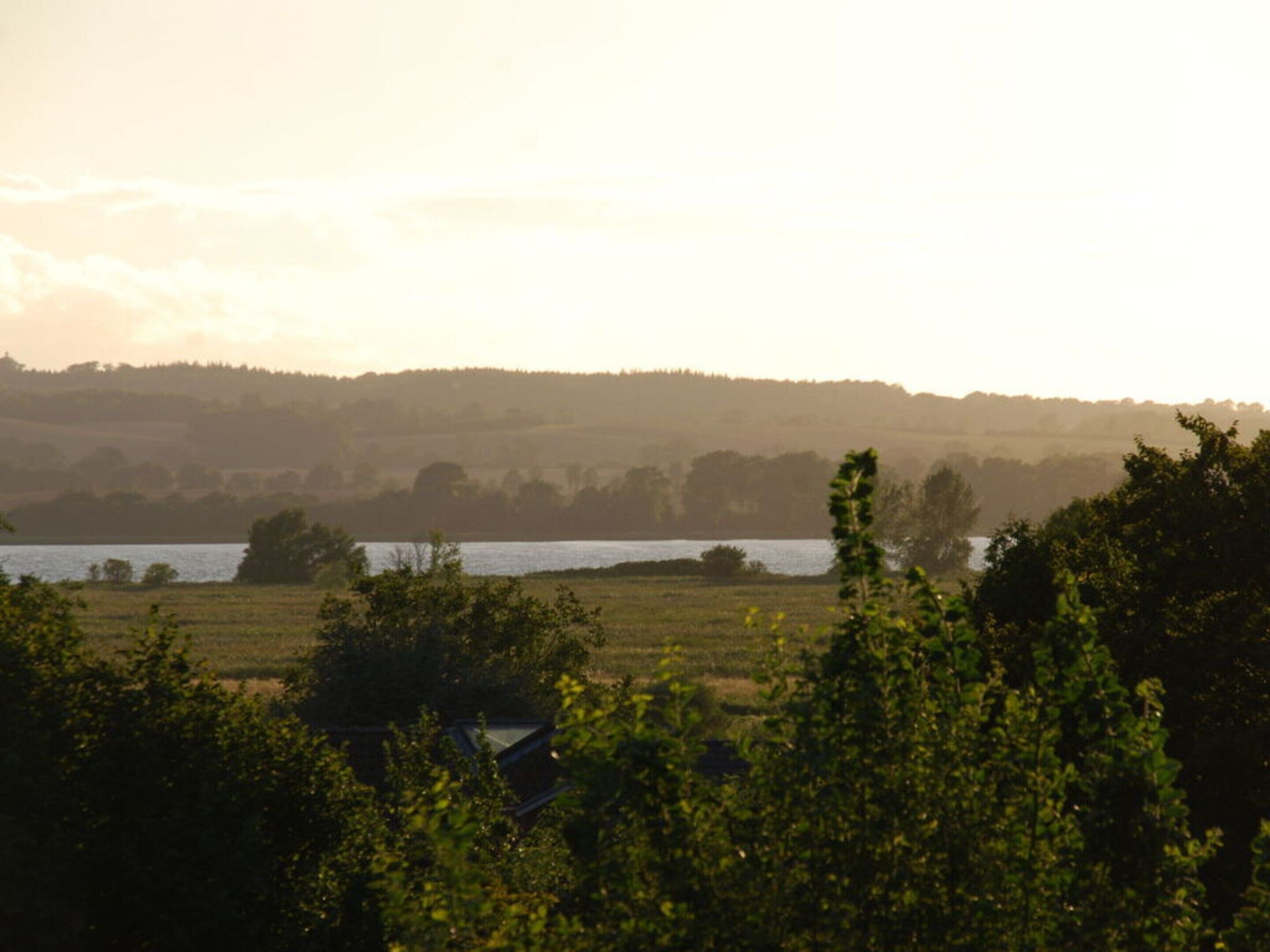 A rural landscape with a body of water, trees, and a distant hill.