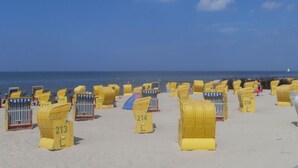 Une plage où l’on trouve des rangées de chaises de plage jaunes, chacune portant un numéro, disposées sur le sable.