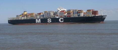 A large container ship with the letters MSC on its side, sailing on the ocean.