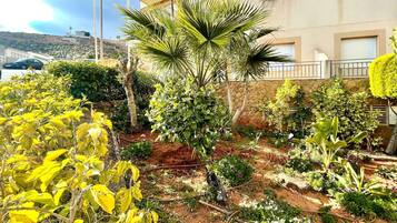 Apartment | Exterior