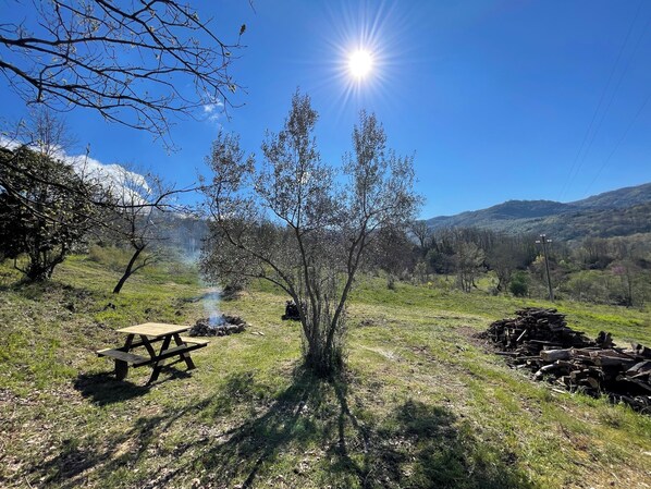 Grill-/Picknickplatz