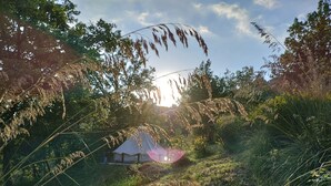 Ein Zelt, das auf einer Wiese aufgeschlagen ist, mit Bäumen und hohem Gras im Hintergrund.