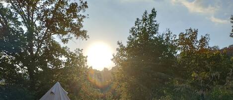 Tenda Eksklusif | Tirai kedap cahaya dan Wi-Fi gratis