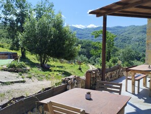 Free daily cooked-to-order breakfast - Agriturismo Tre Casali (Arpino)