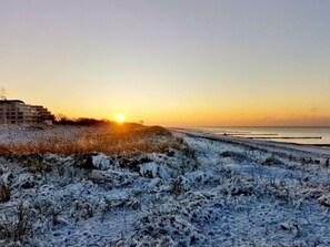 Property grounds - Shell Seeker Modern Retreat (Zingst)