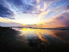 Beach - Shell Seeker Modern Retreat (Zingst)