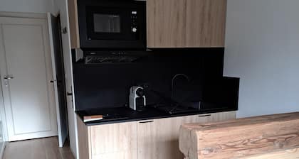 Très Beau Studio Refait à Neuf Avec Garage Privé et Balcon à 3 mns du Centre