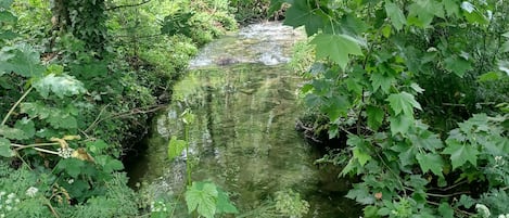 Ulkoalueet