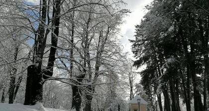 Belvilla by OYO Negritella Quadri Sette