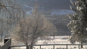 A snow-covered landscape with bare trees and a wooden fence. - Belvilla by OYO Negritella Quadri Sette (Cavalese)